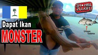 Memancing bawah JAMBATAN PULAU PINANG dapat ikan YU BODOH (Bambooshark)