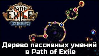 Дерево умений от А до Я. Гайд для новичков в Path of Exile.