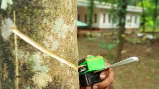 Auto Tapper - Rubber Tapper Rubber Tapping Process