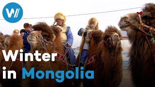 Genghis Khan's Mongolia: Eagle Hunting and Surviving Winter | Mongolian Adventure (2/2)