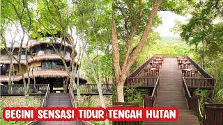 ASYIKNYA MENGINAP DI TENGAH HUTAN | The Menjangan Resort by LifestyleRetreats Bali