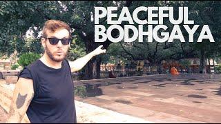 We Visited the Sacred Mahabodhi Temple in Bodhgaya India (EXPLOSIVE BONUS)