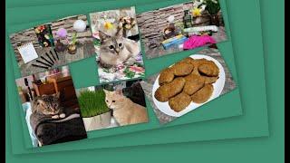ВЛОГ:  ПОКУПКИ, ЧТО ЕДИМ ВКУСНЕНЬКОГО, БУДНИ...