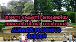 മരണ കെണി ഒരുക്കിയ അലൻവിക്ക്  ഗാർഡൻ    alnwick-garden-most-poisonous garden