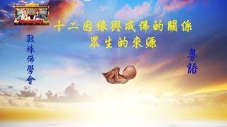 十二因緣與成佛的關係：眾生的來源(粵語 敦珠佛學會啤嗎哈尊金剛上師)