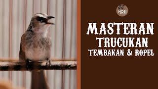 MASTERAN  Trucukan Tembakan dan Ropel