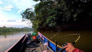 Langsung Disambar Babon!! Mancing Baung Pakai Umpan Gacor