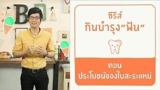 ประโยชน์ของใบสะระแหน่ ซีรีส์ กินบำรุง"ฟัน" : กินกับหมอ [by Mahidol]