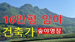 숲야영장2363억~연매출 16만평 대도시 임야 건축가 숲힐링6차산업 수목장/산분장 분양수익가능 자연인 전원생활 육림업직불금 땅과함께(새희망을)경매임야 공매임야 나도땅주인