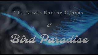 The Never Ending Canvas of Bird Paradise