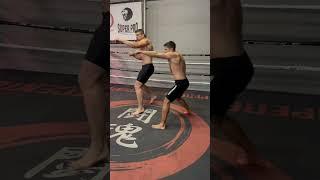 Rico Verhoeven x Pavel Trusov / Boxing combo