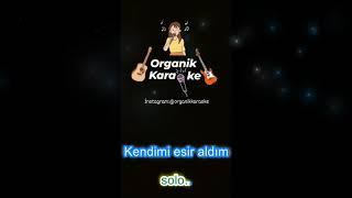 Anlasana-Organik karaoke(Haluk Levent)