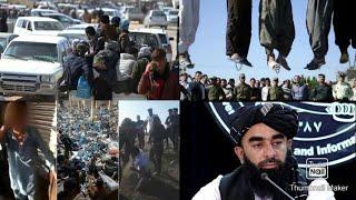 200 مهاجر افغان توسط ایران اع دام میشد و برخورد نادرست ایرانی ها  هشدار تند ذبیح الله مجاهد به ایران