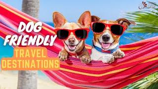 Top 10 Dog Friendly Travel Destinations