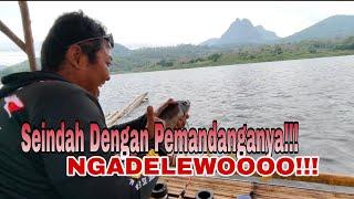 SUMPAH!!! NGADELEWO  Mancing Jatiluhur Terbaru