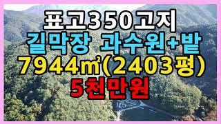 표고350고지,길막장에 위치한 과수원+밭입니다. 저렴한 관리지역 토지입니다.(2403평,5천만원)