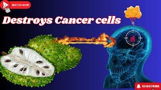 Soursop (Graviola): The Superfruit That Destroys Cancer Cells (10 Reasons to Eat It Now)