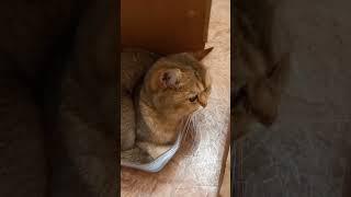 Напишите название. Позитив от  Марселя.