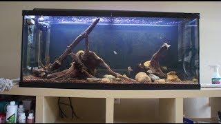 Infamous Secret to Preparing Driftwood for a Aquarium or Fish Tank Known How to Waterlog