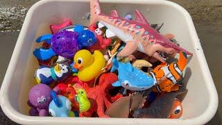 Log Jam: Sea Animal Toys at the Beach