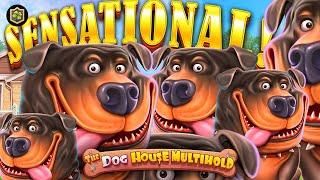 The Dog House Multihold  Amazing EPIC WIN You Just Need To See!  Online Slot BIG WIN - Pragmatic