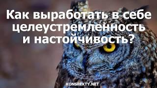 Как выработать в себе целеустремленность и настойчивость?