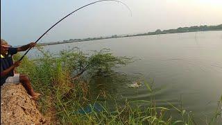 Fishing | Catching Rohu fishes & mrigal fishes