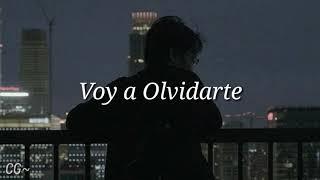 Reik-Voy a Olvidarte (Letra)