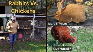 Why You Should Raise Meat Rabbits Instead Of Chickens