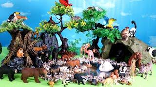 Jungle Safari Diorama and 40 plus Omnivores Wild Animal Figurines