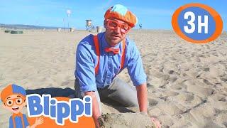 Super Sunny Beach Day | BLIPPI | Kids TV Shows | Cartoons For Kids | Fun Anime | Popular video