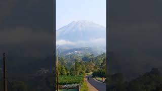 Lukisan alam di kaki Gunung Sumbing Magelang  #nature