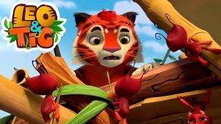 Leo and Tig  Pango the Magnificent - Episode 43  Funny Family Animated Cartoon for Kids