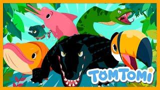 Amazon Animals Song | Unusual Animals Living in the Amazon | Kids Song | TOMTOMI