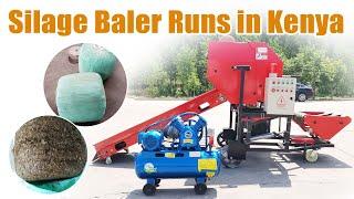 Taizy silage baler machine for Kenyan dairy farms! Corn silage baler and wrapper for feed making