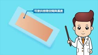 疤痕的預防與治療 | 傷口達人保健室