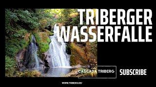 Explore the Natural Wonders of Tibergen, Germany, Including the Triberg Waterfalls