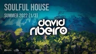 DAVID RIBEIRO Podcast | Summer 2022 | Dj Set (1/3)