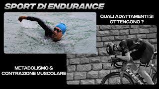 Video spiegazione sul Metabolismo del Triathlon e Sport di Endurance  - contrazione muscolare 