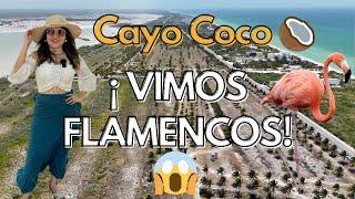 CAYO COCO-TERRENOS A 140 metros de la playa! ¡Vimos Flamingos!