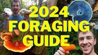 2024 Foraging Guide to Edible Mushrooms & Plants!