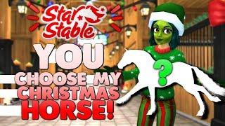 YOU Choose the Horse I Buy for Christmas on Star Stable!  