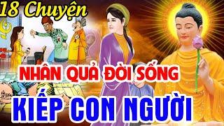 18 Chuyện Nhân Quả Đời Sống Kiếp Con Người, Chuyện Nhân Quả Có Thật... Gieo Nhân Nào Gặt Quả Nấy