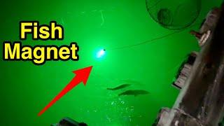 Night fishing with LED light - tips & tricks.