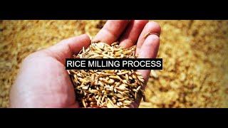 Rice Milling Process| Objectives | Methods| Food Technology Notes