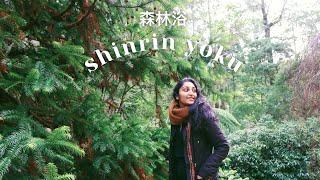 Shinrin-Yoku » The Japanese Art of Forest Bathing