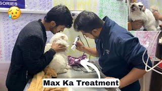 Street Cat Kai Sath Fight Ki Wajah Sa Max Ko Injections Lage  |Rehan & Max