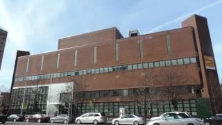 The Schomburg Center for Research in Black Culture