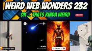 weird web wonders 232