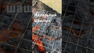 Как приготовить идеальный шашлык